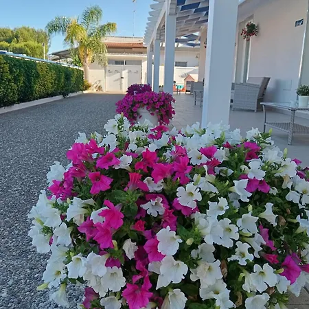 Blu D'amare Bed & Breakfast